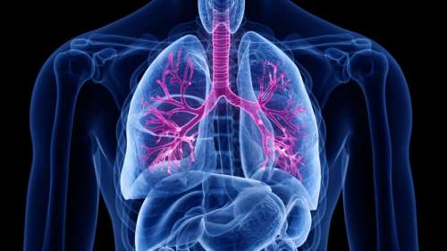 Une étude pionnière révèle une nouvelle cause de l’asthme et un moyen de le traiter