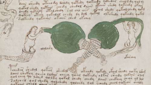 Le mystérieux manuscrit de Voynich pourrait cacher des secrets sexuels médiévaux