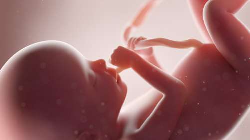 Une start-up qui sélectionne les embryons avec de « bons gènes » affirme ne pas pratiquer l’eugénisme
