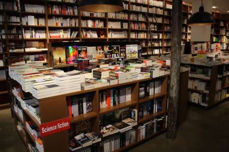 BD, romans : les 20 livres les plus vendus en librairie sur 2018