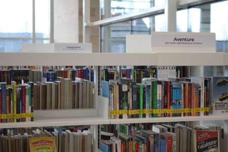 Les bibliothèques et les personnes dyslexiques : journée d'étude