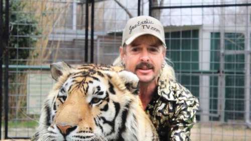 Joe Exotic : la folle histoire du tueur de tigres qui voulait assassiner une militante de la cause animale