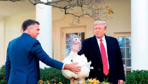 Donald Trump déprimé : il annule ses festivités de Thanksgiving
