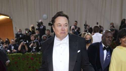 Elon Musk largué par Natasha Bassett après les révélations sur jumeaux cachés