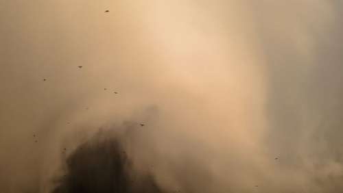 Une tempête de poussière passe sur une autoroute, la suite n'est que chaos et dévastation