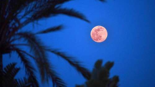 Lune des fraises : quel sera l'impact de la prochaine pleine lune du 4 juin ?