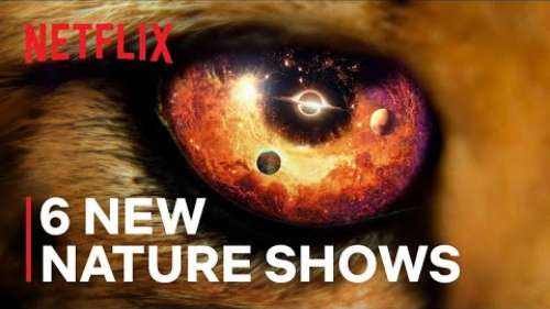 Bande-annonce Netflix : 6 séries documentaires d’histoire naturelle à venir