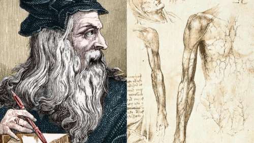 Les études anatomiques de Léonard de Vinci s'exposent au Clos Lucé