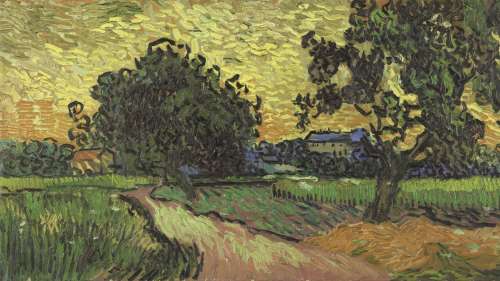 Emmanuel Coquery: «Pour Van Gogh, la peinture doit être consolante, belle, joyeuse et sereine»