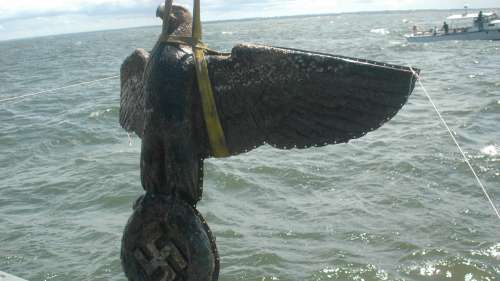 L'aigle nazi sauvé des eaux embarrasse toujours l'Uruguay