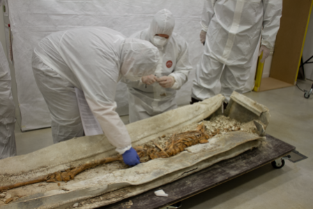 Découvert à Arras, le rare sarcophage du Bas-Empire romain livre ses premiers secrets