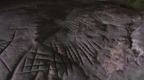 En forêt de Fontainebleau, les dernières traces de l'homme de Cro-Magnon se lisent dans les rochers