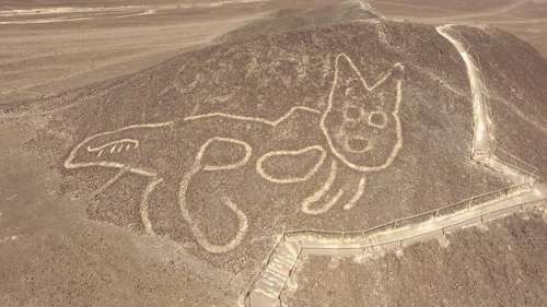 Un chat vieux de 2000 ans et grand de 37 mètres redécouvert aux abords du plateau de Nazca