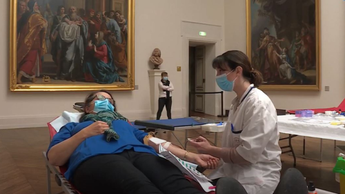 Faire un don du sang en admirant les tableaux du musée des Beaux-Arts de Dijon
