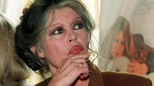 Brigitte Bardot : «Jean-Paul Belmondo n'aurait pas aimé ses obsèques aux Invalides»