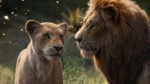 Le Roi lion: des images époustouflantes pour le remake d’une histoire de la vie inchangée