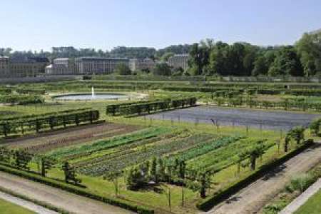 Versailles : coup de jeune pour le potager du Roi