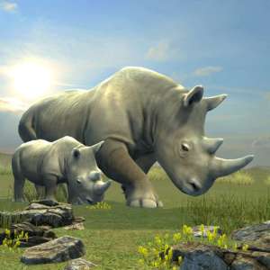 Clan of Rhinos – Boris Tsarkov