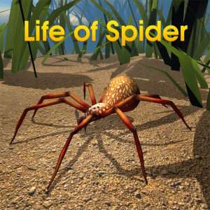 Life Of Spider – Boris Tsarkov