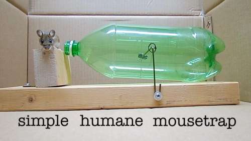 Comment faire un piège à souris avec une simple bouteille plastique