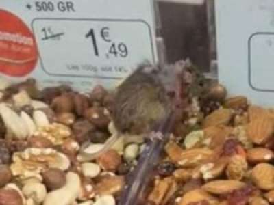 Un rat surpris en train de manger en plein jour dans un supermarché de l'Oise