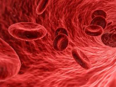 Un nouveau test sanguin pourra-t-il prédire votre mort ?