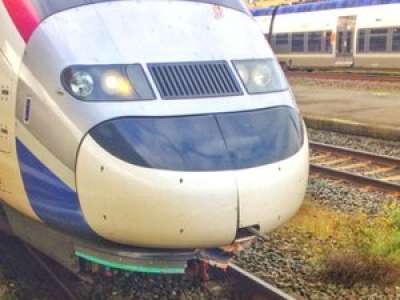 Le TGV percute un sanglier, 300 passagers en rade en pleine campagne