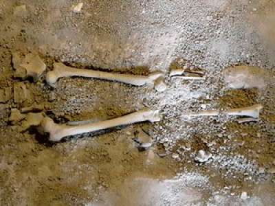 Aveyron : un squelette mis au jour dans une cave du village de Toulonjac
