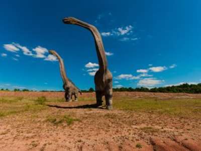 Le plus grand dinosaure jamais trouvé a-t-il été découvert en Argentine ?