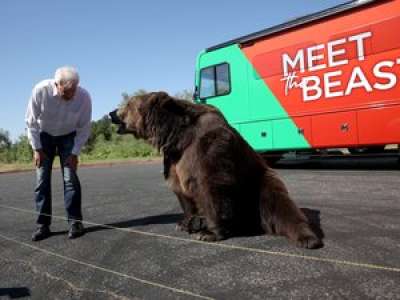 États-Unis : un candidat fait campagne avec un ours en Californie
