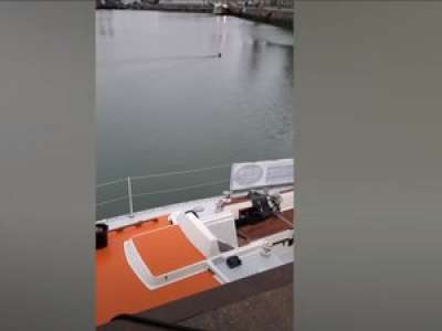 VIDEO. Un chevreuil coincé dans le port des Sables-d'Olonne, sauvé de la noyade par des marins