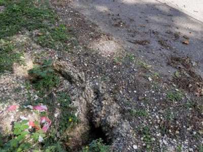 Une colonie de blaireaux creuse des terriers et la route s'effondre dans une commune du Lot