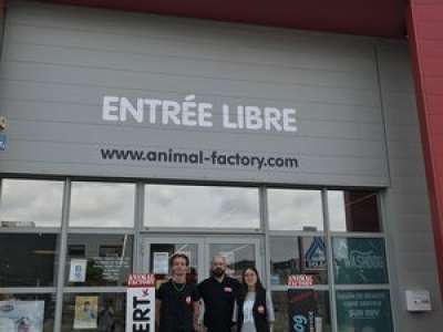 Des chatons à adopter : un magasin du Lot-et-Garonne va aider un refuge animalier