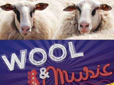 Coutens. Festival Wool & Music : de la laine et du rock au programme