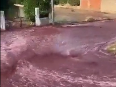 VIDEO : un village du Portugal victime d'un raz-de-marée... de vin rouge