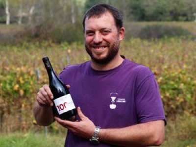 Tarn-et-Garonne : un viticulteur de l'AOP Fronton pionnier en France du pinotage, un cépage sud-africain
