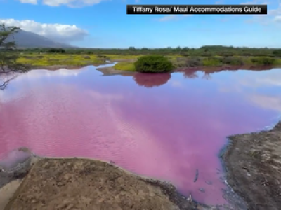 VIDEO. Pourquoi un étang est-il devenu rose chewing-gum à Hawaï ?