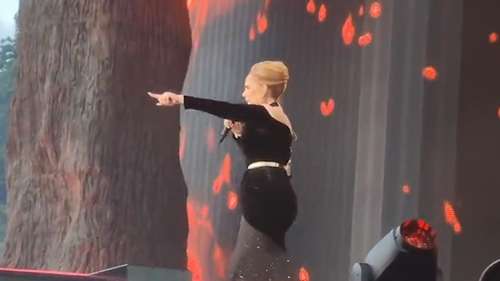 Adele se produit au BST Hyde Park Festival de Londres et arrête le spectacle pour aider les fans