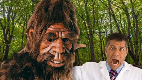 La police demande instamment que les observations de Bigfoot fassent l’objet d’une enquête par des scientifiques et des anthropologues