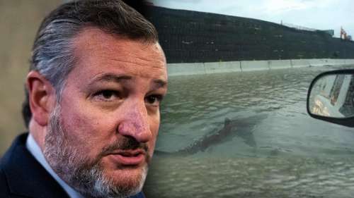 Le sénateur Ted Cruz croyait que les requins nageaient dans les rues de Los Angeles pendant l’ouragan Hilary