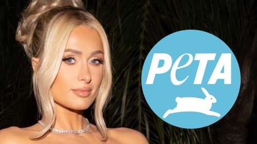 Paris Hilton accusée par PETA de ne pas avoir adopté de nouveau chiot