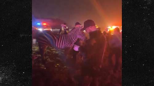 La police sauve des animaux de cirque sur l’Indiana Highway après l’incendie d’un semi-remorque