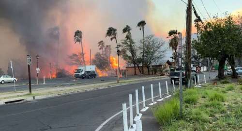 Maui : des incendies meurtriers dévastent l’île d’Hawaï