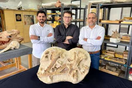 Insolite	            L'Égypte vient de découvrir l'une des plus anciennes baleines d'Afrique