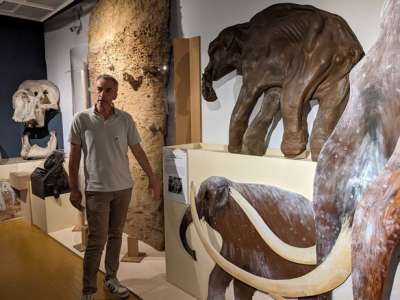 Festival					Ce week-end, le Muséum de Bourges vous invite à un bref retour à l'âge des cavernes