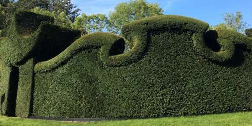 Les Arts florissants ont fêté en beauté leurs 40 ans dans les jardins de William Christie