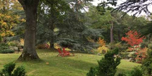 Le temps d’un week-end, les très beaux jardins de Varengeville se sont entrouverts au public