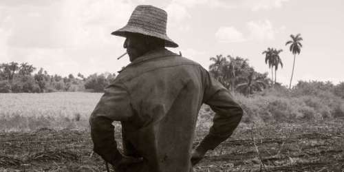 A Cuba, Pierre-Elie de Pibrac capte l’amertume des travailleurs du sucre