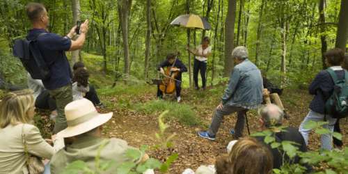 Balade de santé pour bois et violoncelle en forêt de Compiègne