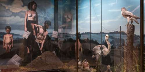 A Paris, le Musée de la chasse et de la nature fait peau neuve